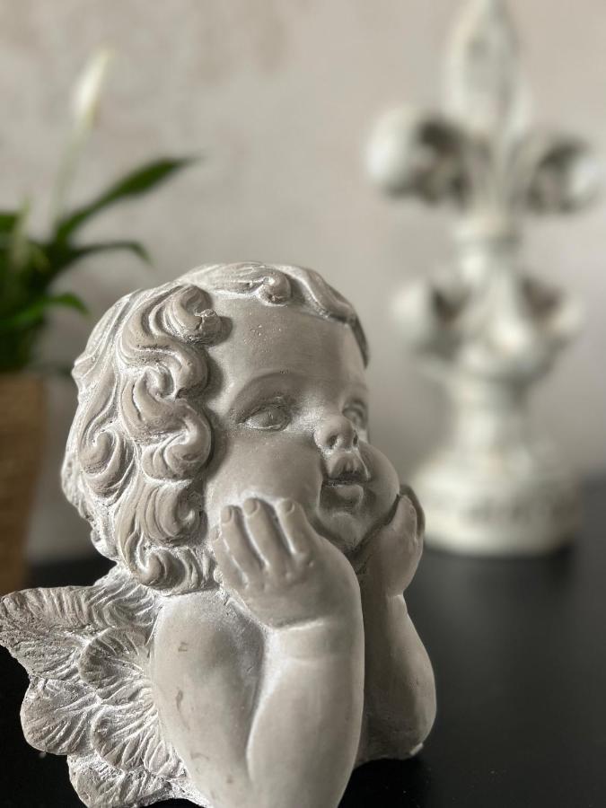Bed and Breakfast Domaine Des Anges Avesnes-sur-Helpe Esterno foto